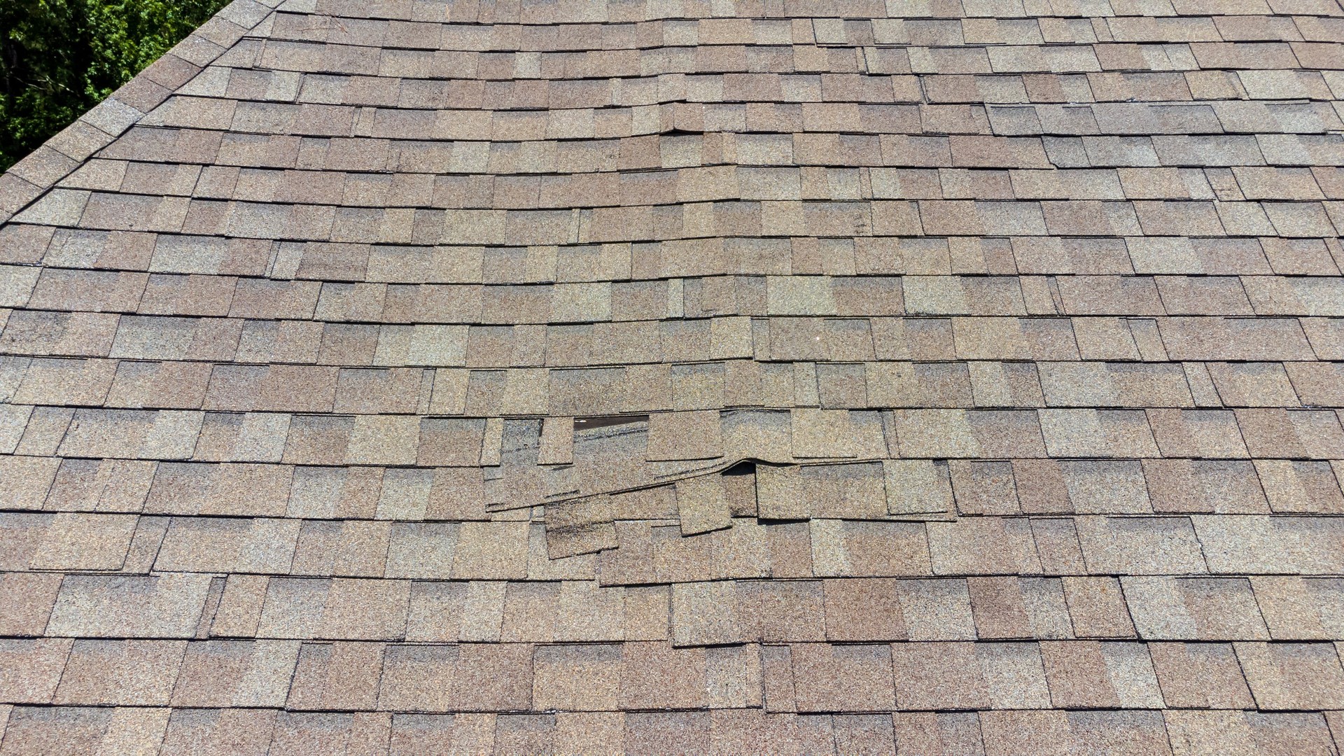 damaged roof shingles