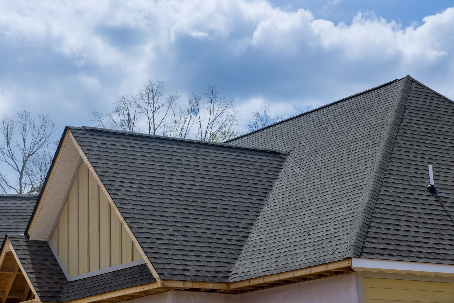 shingles roof